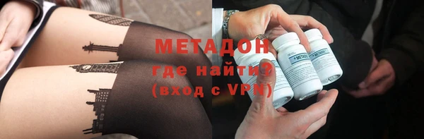 шишки Корсаков