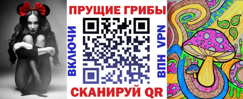 где продают наркотики  Краснокаменск  Псилоцибиновые грибы мухоморы 