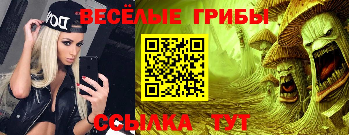 Краснокаменск  Галлюциногенные грибы Psilocybine cubensis  Вход с VPN 